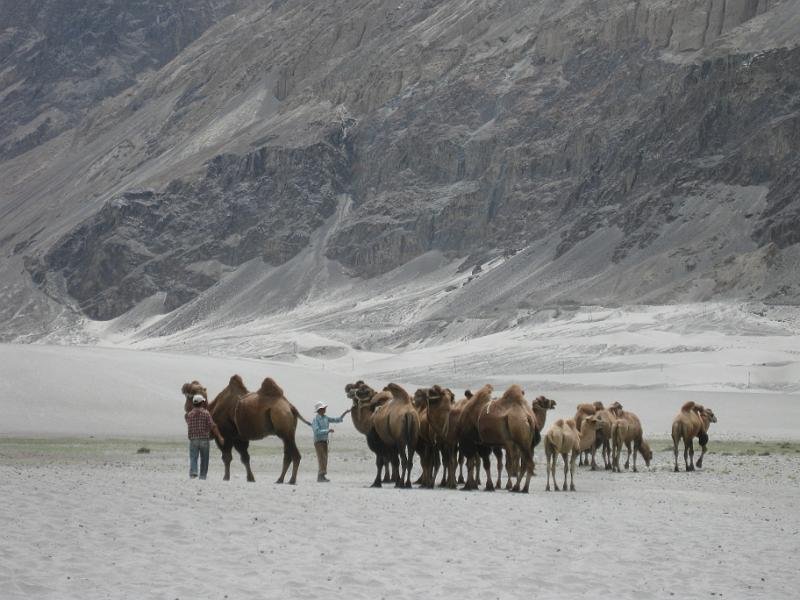 662 Nubra Valley 16-08-2009.jpg